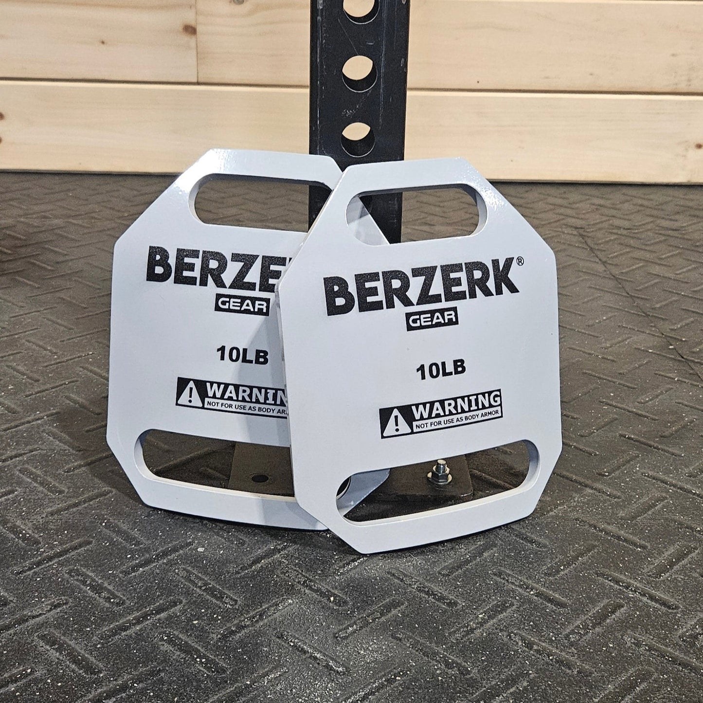 10 lb Steel Plates - Pair